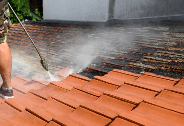 Best Affordable Power Washing  in Skokie, IL