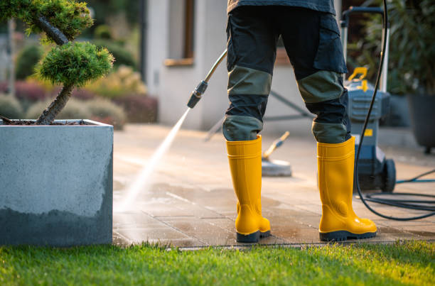 Best Pressure Washing Near Me  in Skokie, IL